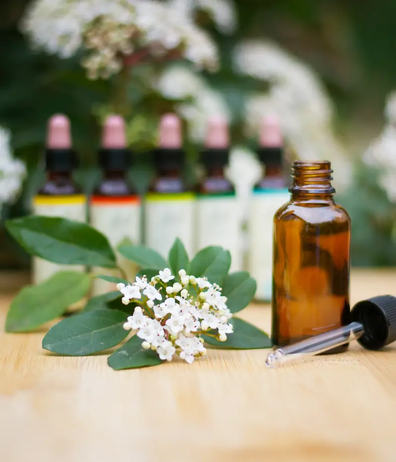 Frascos de esencias florales junto a flores blancas