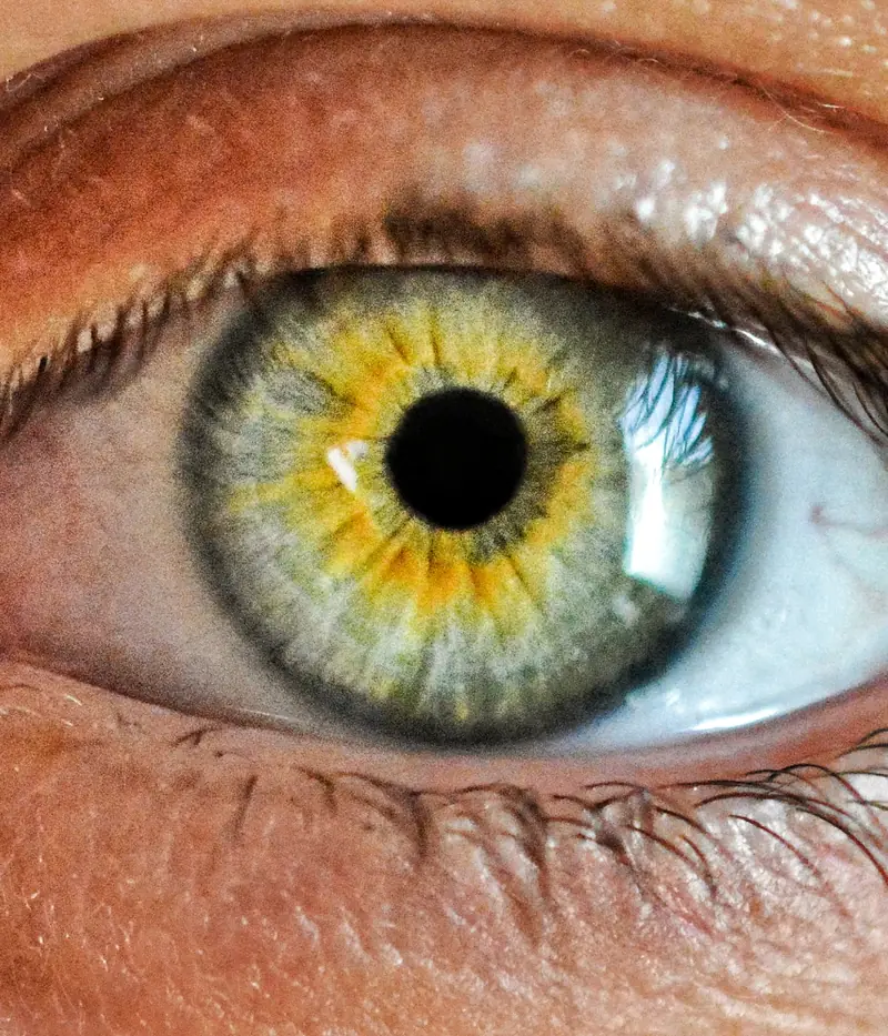 Primer plano de un iris verde y dorado